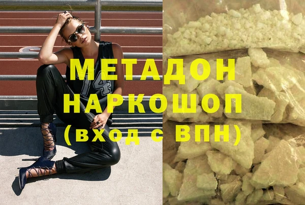 прущие грибы Ачинск