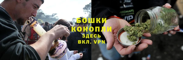PSILOCYBIN Абдулино