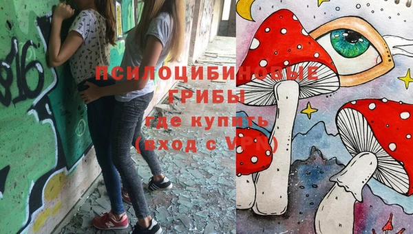 PSILOCYBIN Абдулино