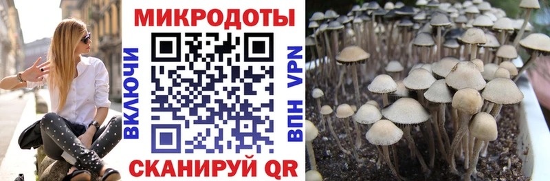 Галлюциногенные грибы прущие грибы  kraken как войти  Донецк  продажа наркотиков 